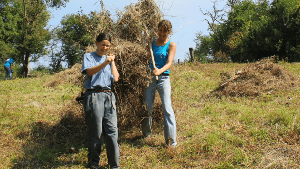 Workcamp ijgd 16014 Aktiv im Wolfsburger Stadtwald
