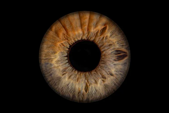 Rabatt auf Iris-Fotos