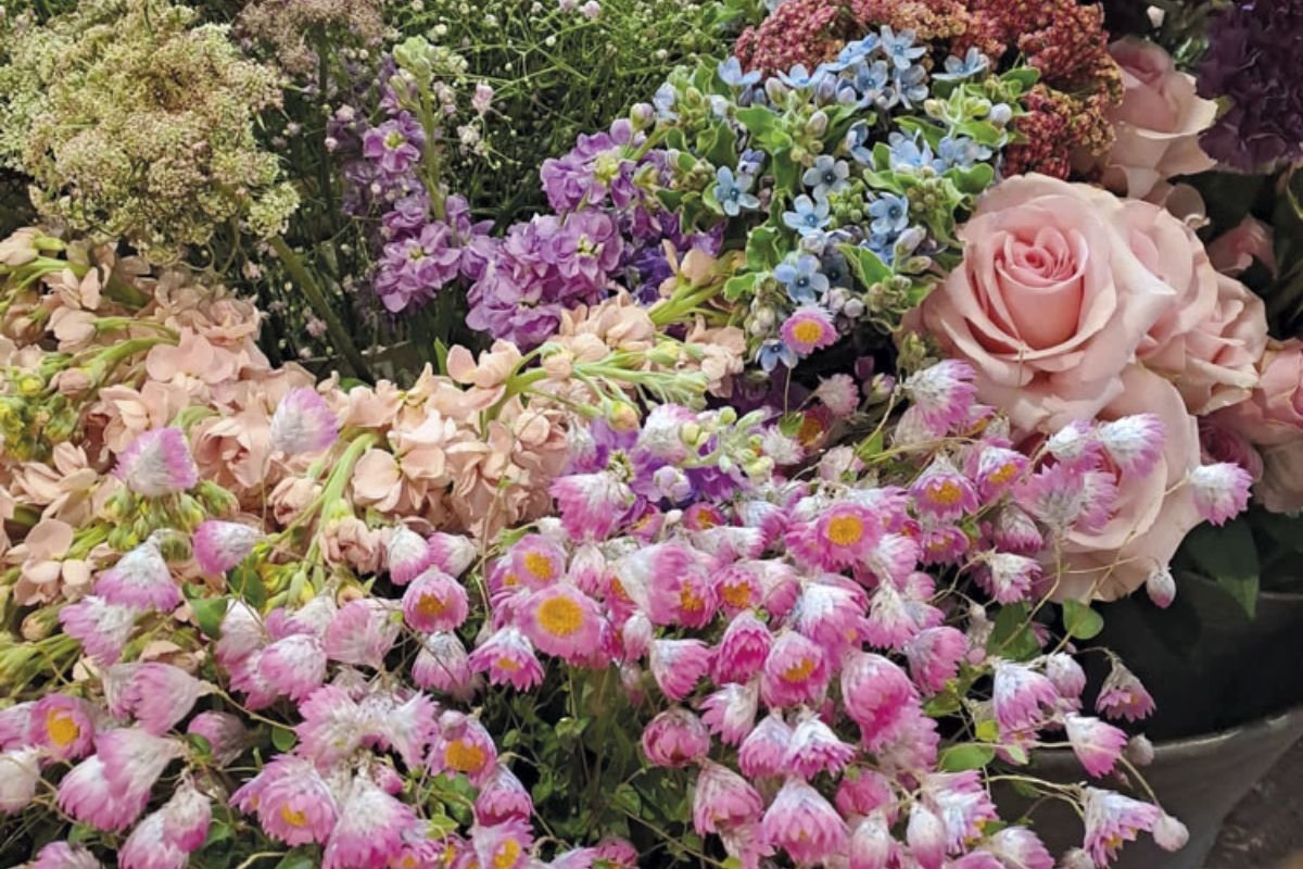 Blumen zum Vorteilspreis
