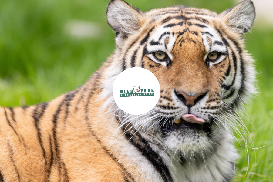 Preisvorteil auf den Wildpark-Eintritt
